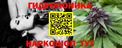 шишки Чебаркуль