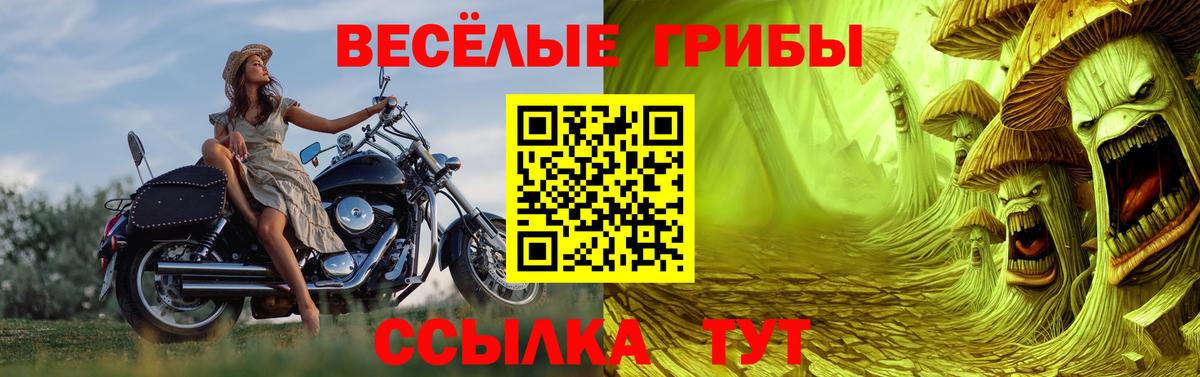 Чехов  Галлюциногенные грибы прущие грибы  Вход с VPN 